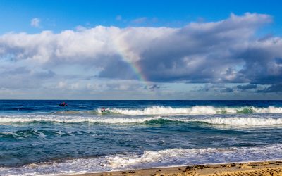 WA’S BEST SURFING SCHOOLS’ TO CONVERGE ON TRIGG BEACH FOR THE THINK MENTAL HEALTH WA SCHOOL SURFING TITLES STATE FINAL