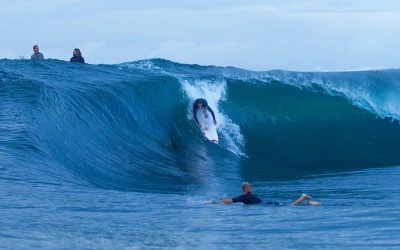 Healthy Boardrider Clubs Set To Benefit From Woolworths Fresh Grant Program