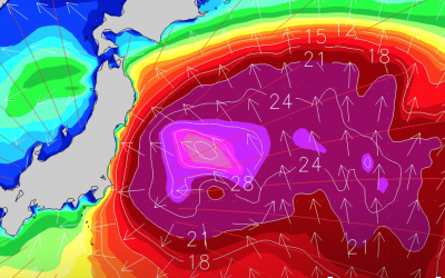 Surfline Olympic Surfing Forecast