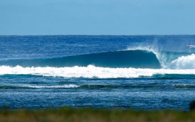 Surfing Australia And Reeftip Drinks Co To Amplify Reef Regeneration In New Partnership