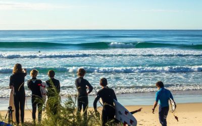 Lifestyle Destination Harvey Norman Partner With Surfing Australia to Support Grassroots Surfing