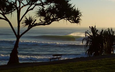 Surfing Australia Life Member Nominations Now Open