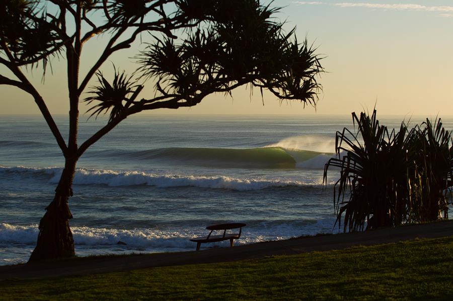 Surfing Australia Life Member Nominations Now Open
