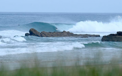 2020 SAE Group Australian Surf Championships Cancelled