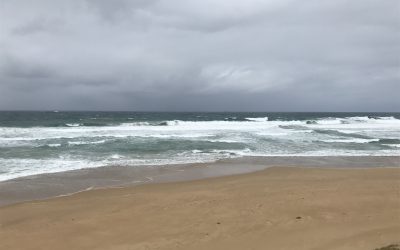 Victorian Masters Titles and Round 2 of the Victorian Open Surfing Titles postponed on the Mornington Peninsula