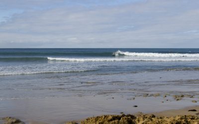 Victorian Longboard State Champions to be crowned this weekend at Point Impossible