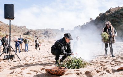 Competition Window for Rip Curl Pro Bells Beach Opens This Weekend