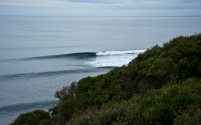 Bells Beach Longboard Classic Q&A