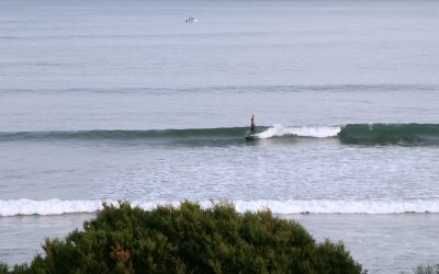 Victorian Longboard Titles set to commence on Phillip Island