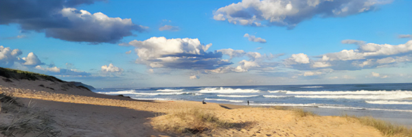 Surfing NSW Community Mourns Mercury Psillakis